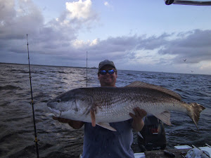 50 lb Red Drum