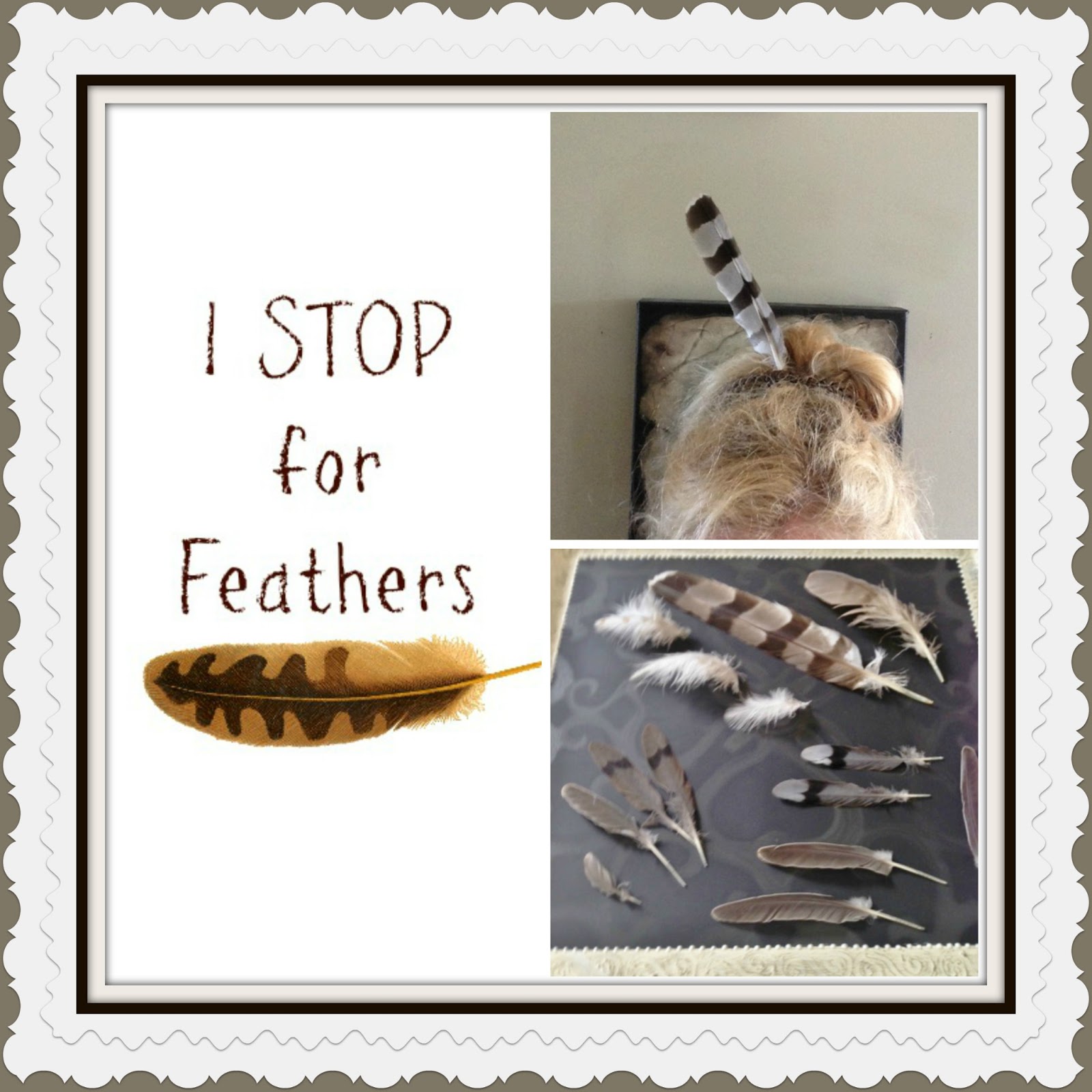 Artistic Environments Rubbing Elbows with Nature.. Walking Oakville's