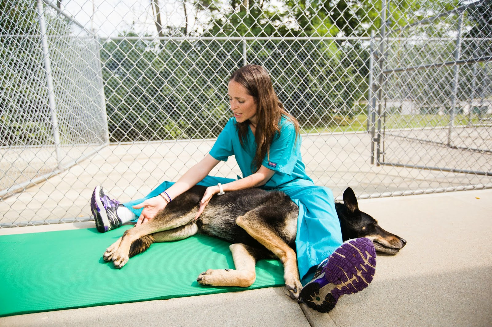 To Dog With Love Back Massage for Your Dog