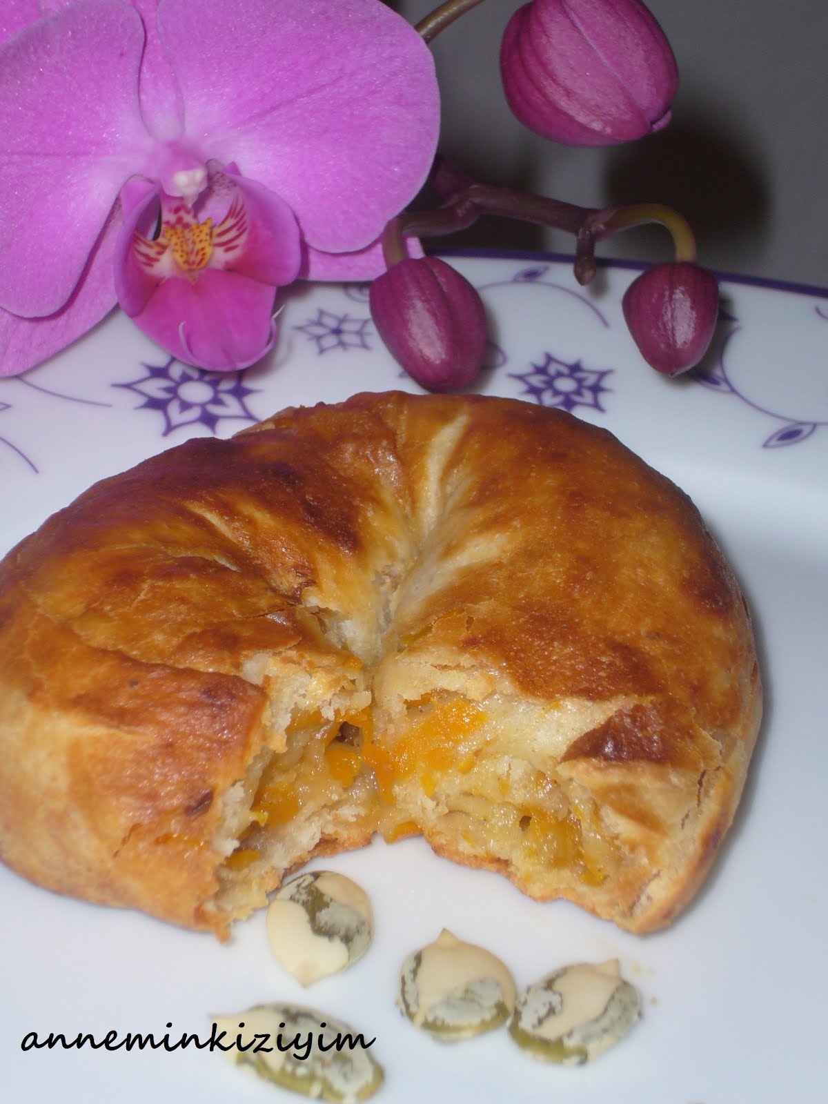 anneminkiziyim Balkabaklı Börek