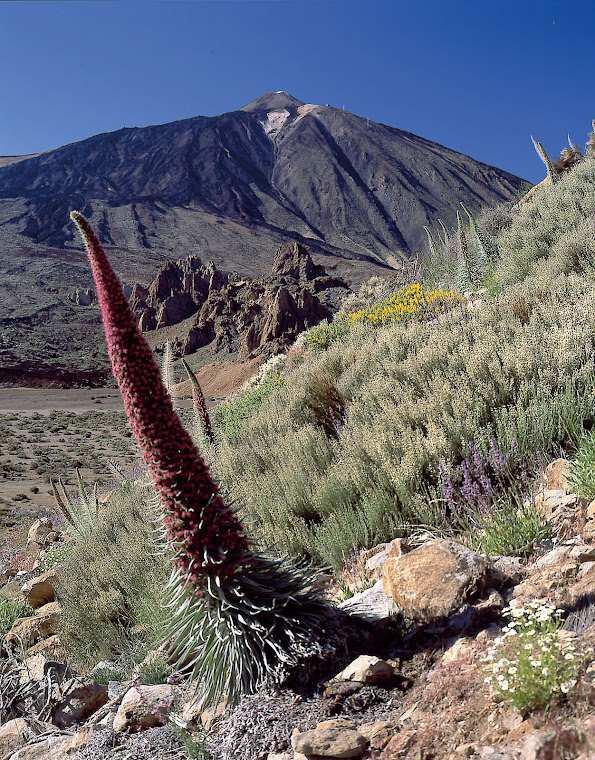 El Teide.el volcán más alto de España.