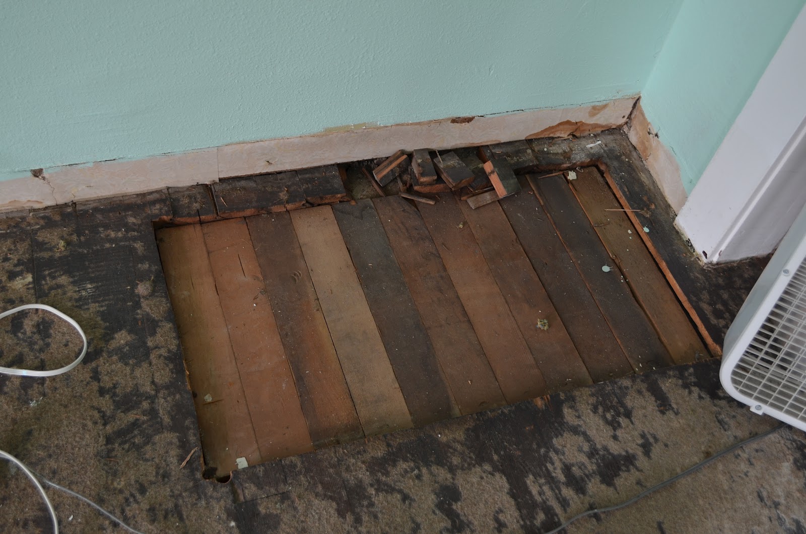 Is Carpet Bad For Health at John Rodriquez blog