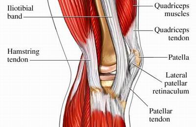 Fitness, Factually.: Stubborn Knees: Where Pain and Preventable Injury