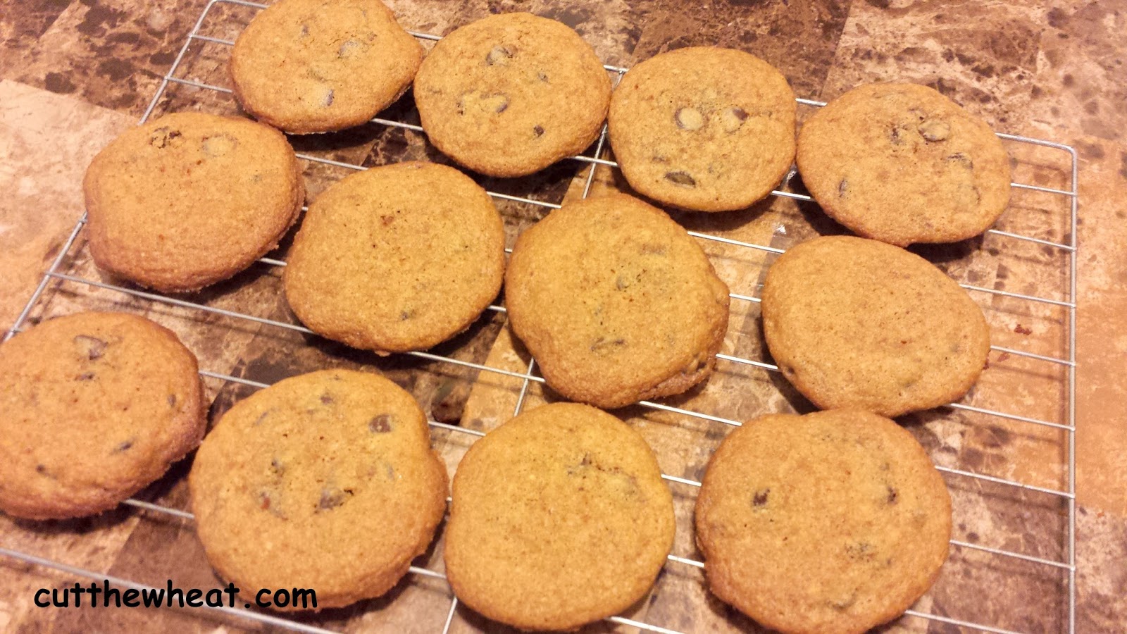Chewy Chocolate Chip Cookies made with Coconut Palm Sugar: Grain Free