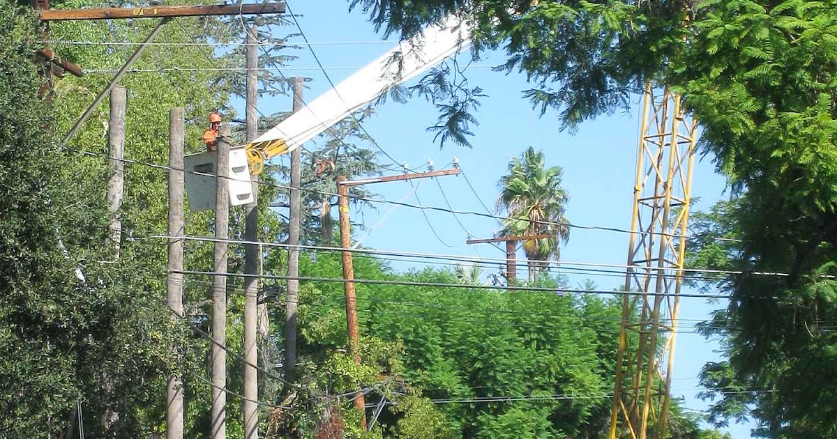 Cutting Down The Palm Trees