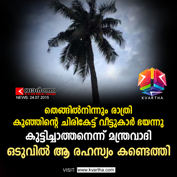 Karnataka, National, House, Child, Cry, Coconut Tree, Mobile Phone, Ring Tone, Bizarre incident.