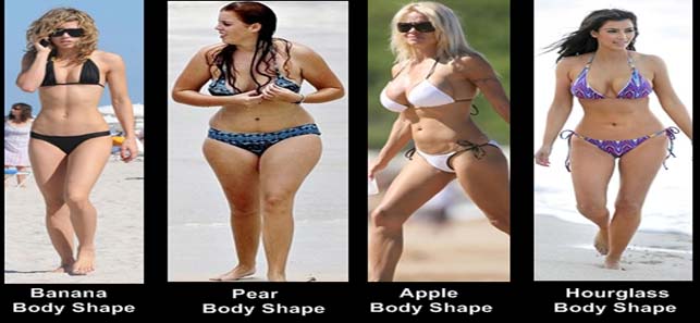 Women+body+shapes