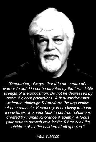 Paul Watson