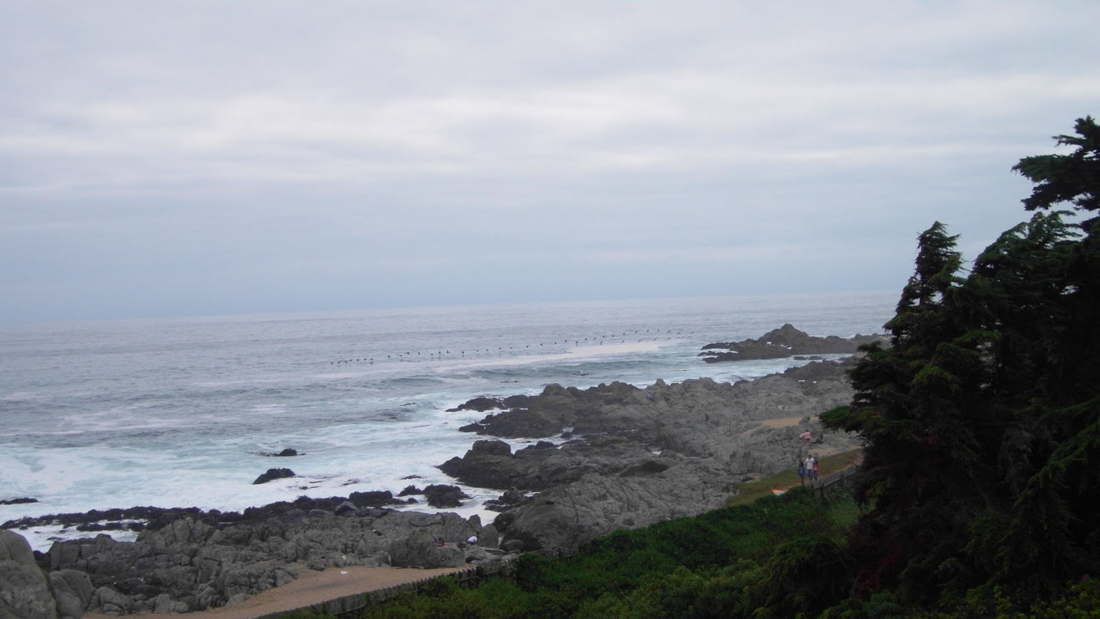 Do que eu gosto...: Março 2011