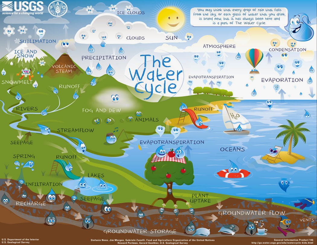 Water cycle facts picture