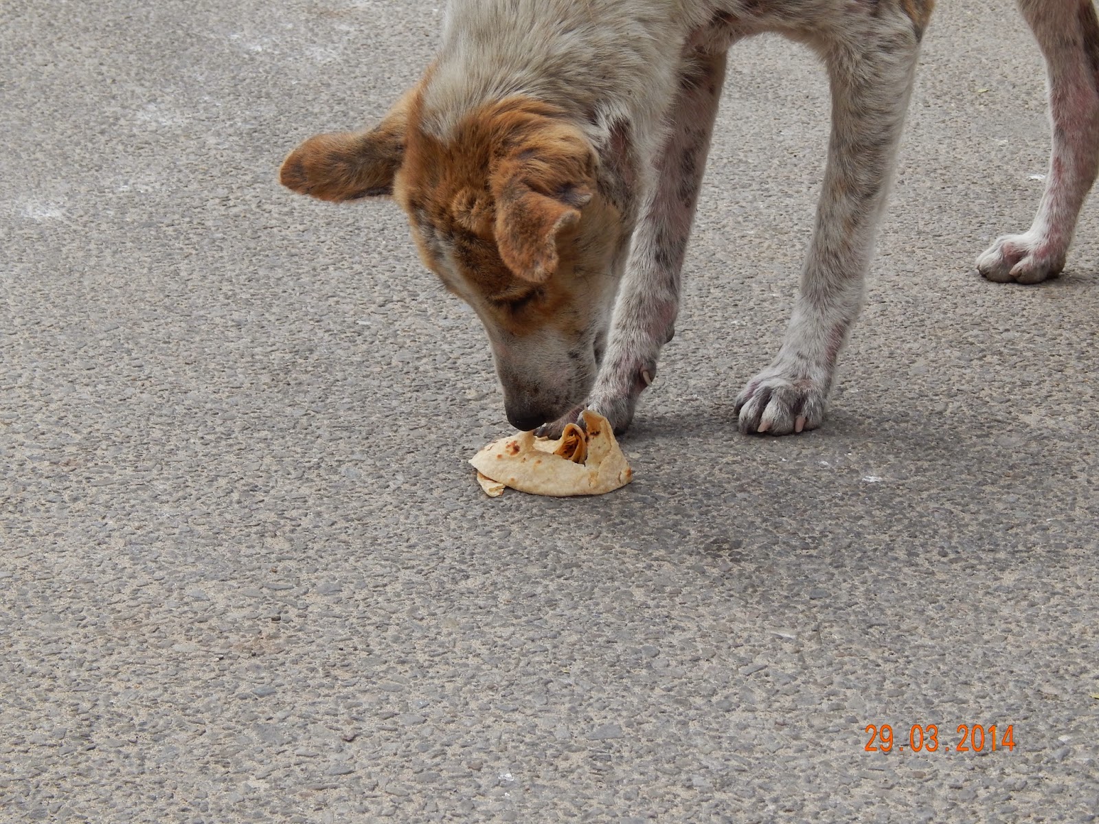 2.0 BACK TO THE MOTHERLAND