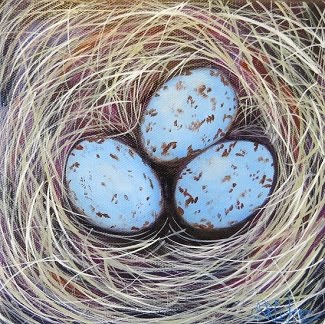 Cardinal nest with three eggs in oils