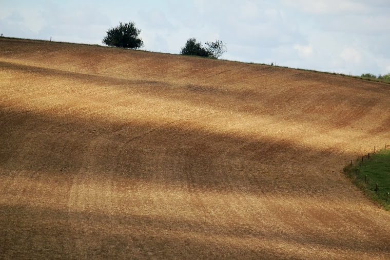 la photo du 9 septembre 2013 (1616)