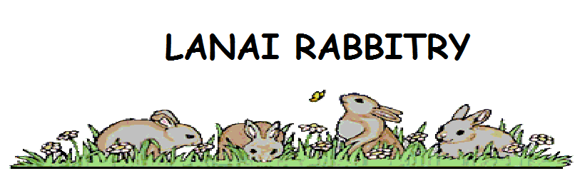 Lanai Rabbitry