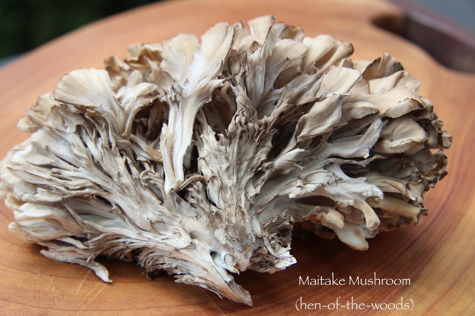 Grilled Maitake Mushrooms The Culinary Chase