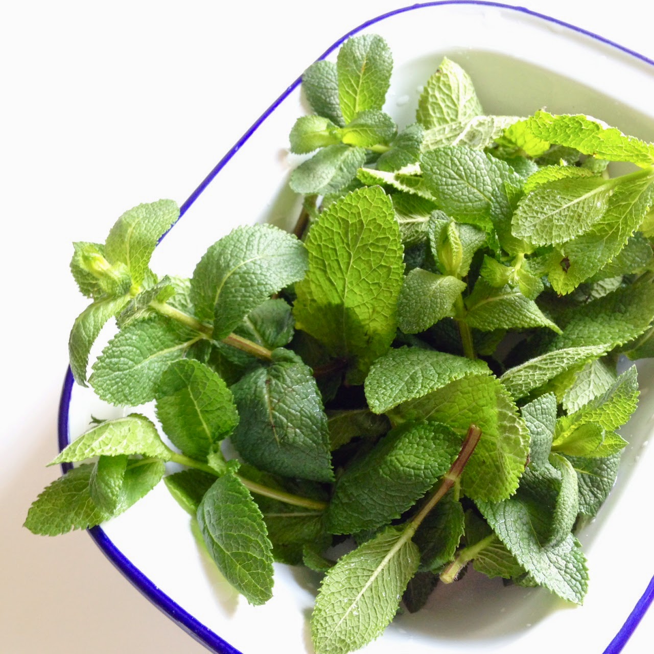 Curious Nest Sweet Refresh モロッカン ミントティー