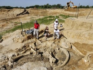 Fosil Mammoth Berumur 60.000 tahun Ditemukan di Texas