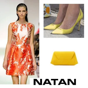 Queen Maxima Style - NATAN Dress and Clutch and Pumps