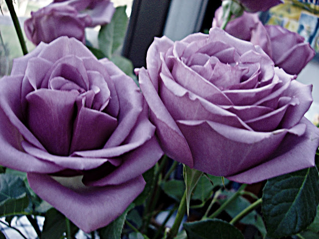 Grand Rapids Wedding Planner Grand Rapids Wedding Planner