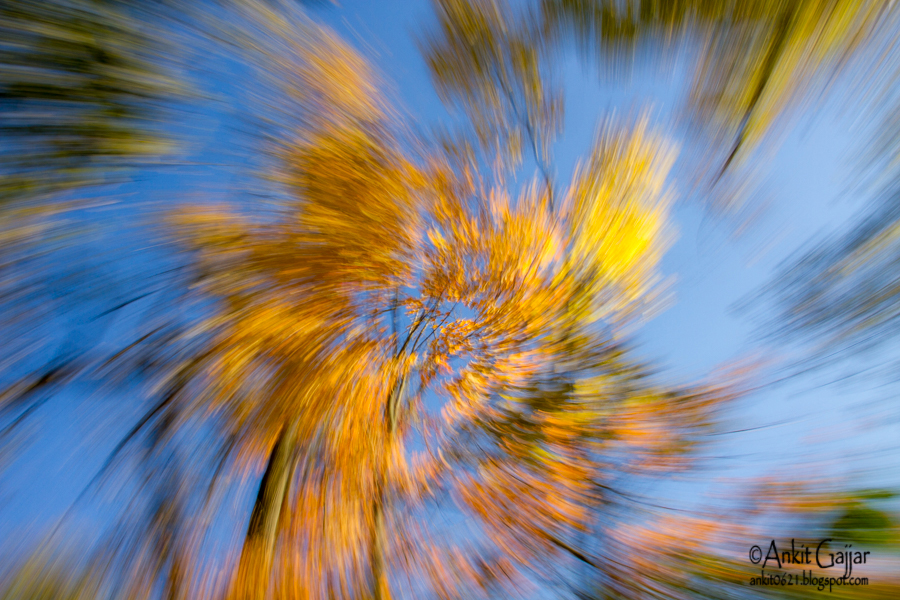 Ankit's Photography Blog Zoom Burst with a Spin