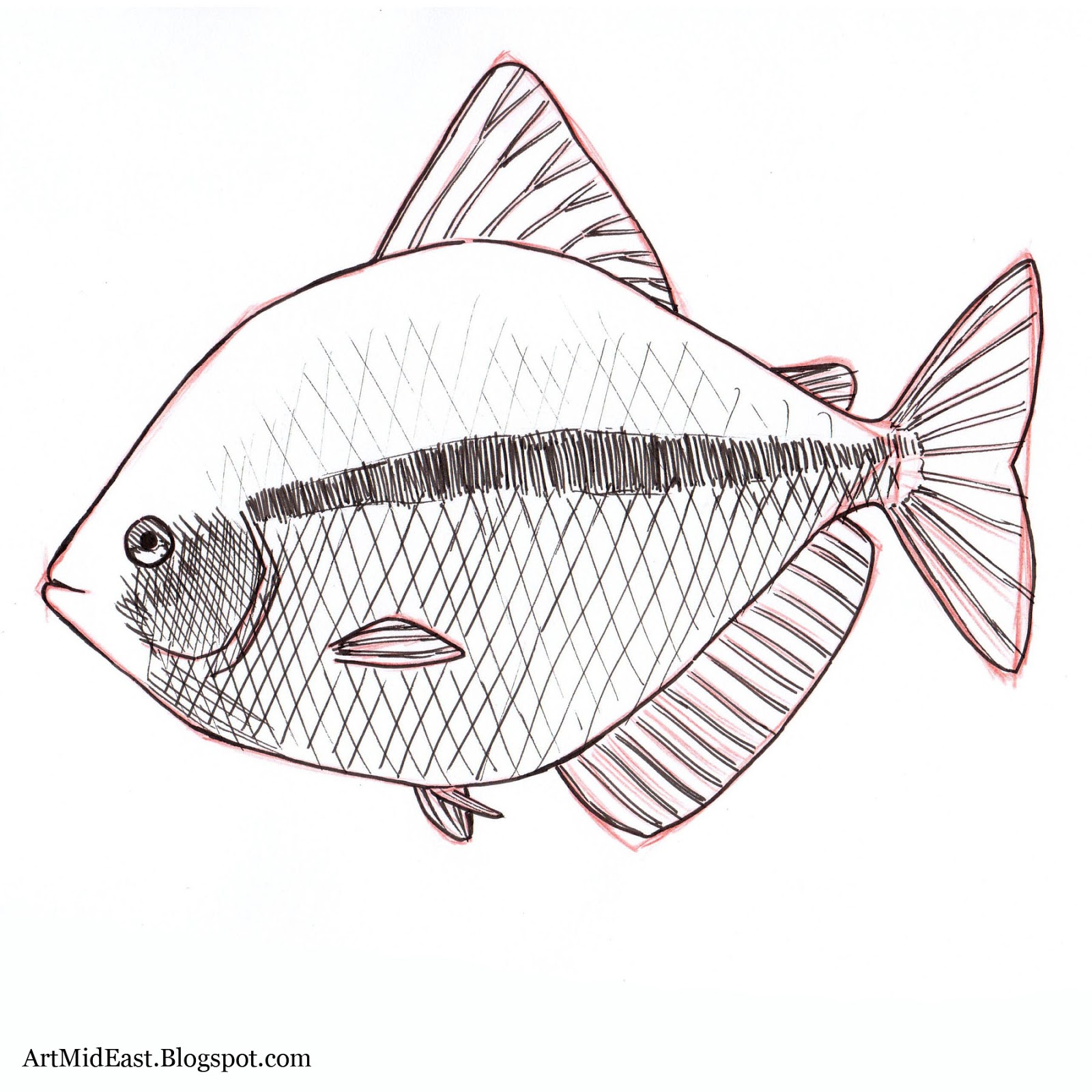Fish drawing for beginners  How to draw fish step by step