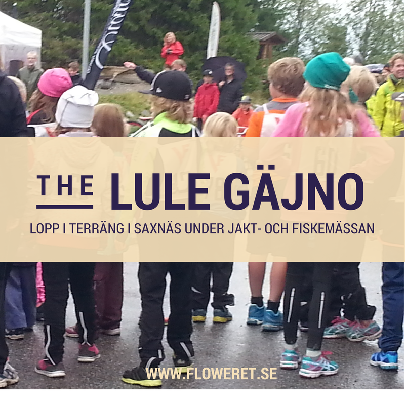 Lule Gäjno terränglopp - aktiv landsbygd Lule%2Bg%C3%A4jno