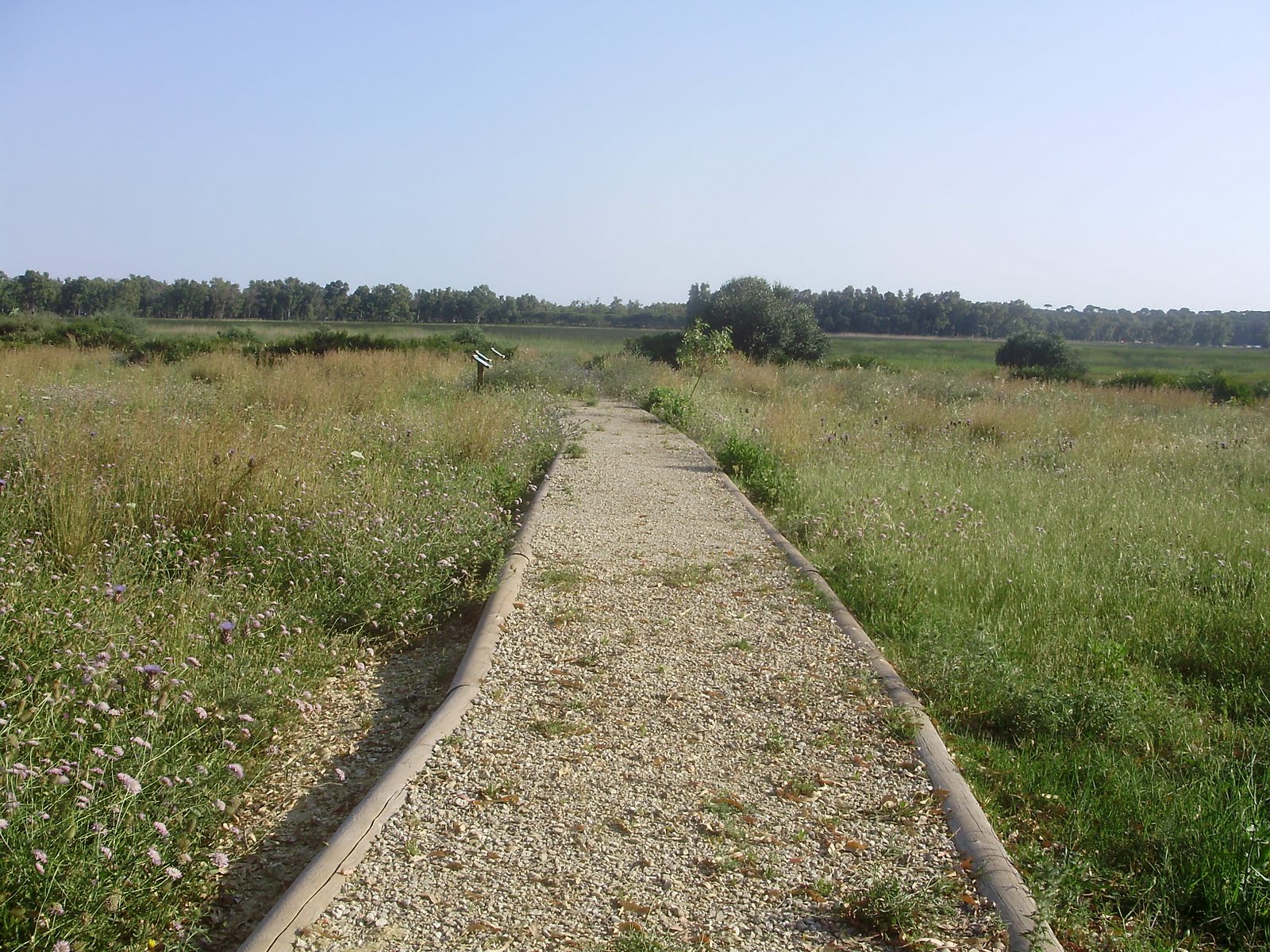 los llanos de guerra 