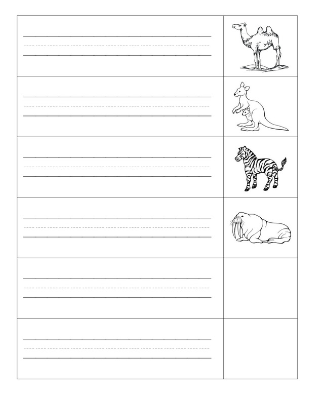 animal worksheet: NEW 705 ANIMAL WRITING WORKSHEET