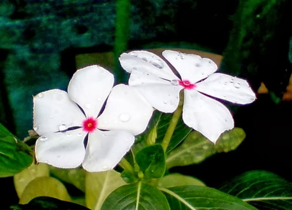 Taman Swargaloka Tapak Dara taman swargaloka tapak dara