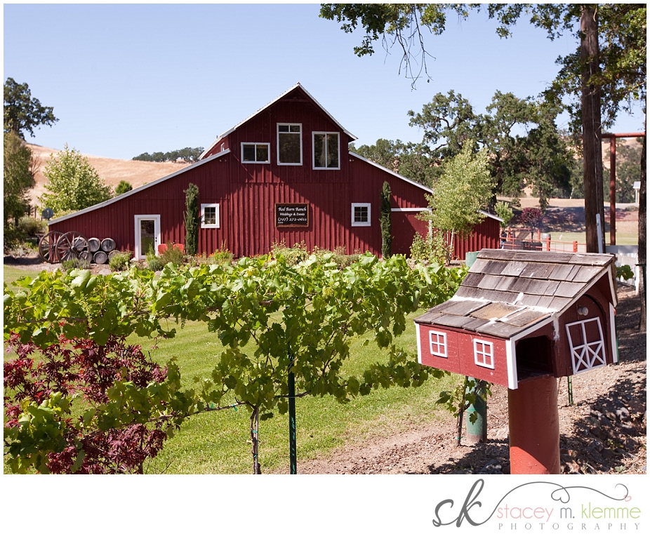 Stacey M Klemme Photography Hopland Ca Wedding Photography