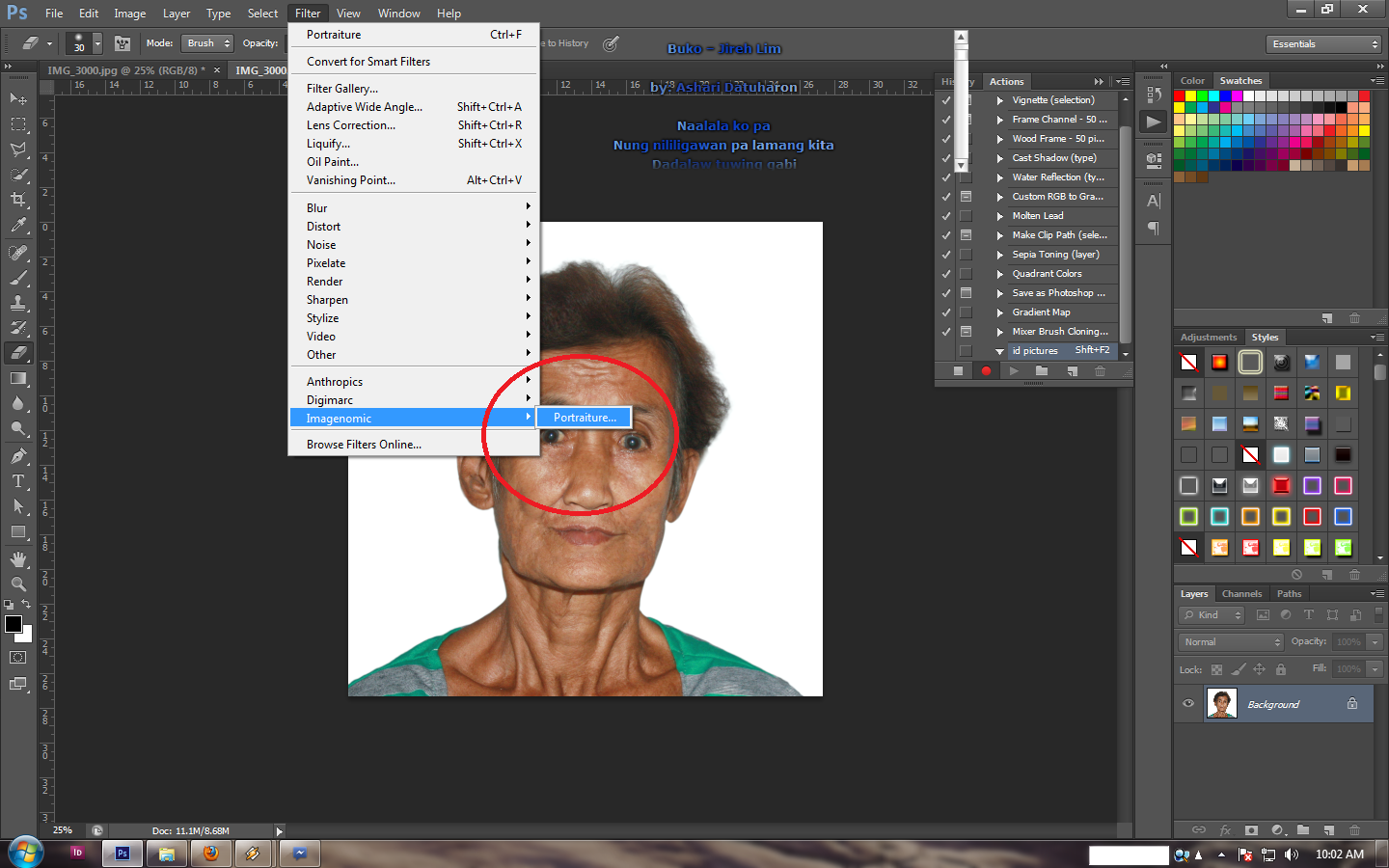 portraiture action imagenomic ok prompt portraiture action imagenomic ok prompt