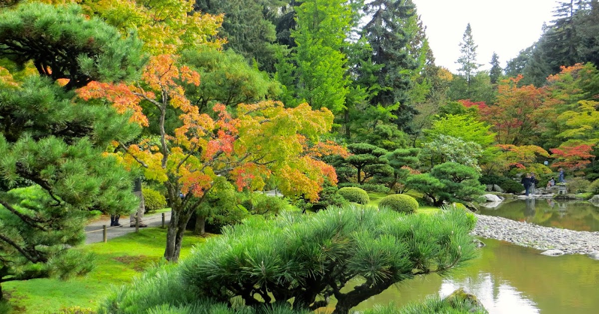 Seattle Japanese Garden Community Blog: Maple Viewing 2014
