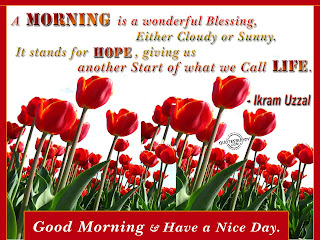 Good Morning 2013 wish