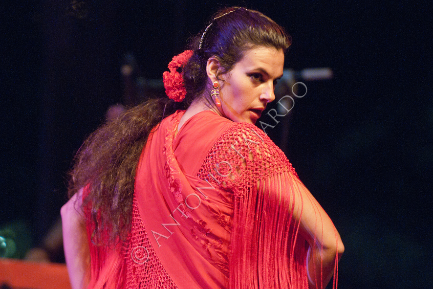 FLAMENCO Instantes y Luz Isabel Pacheco en el Auditorio "Enrique
