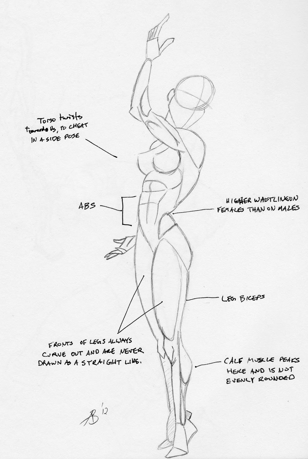 anatomy for the artist jeno barcsay pdf reader