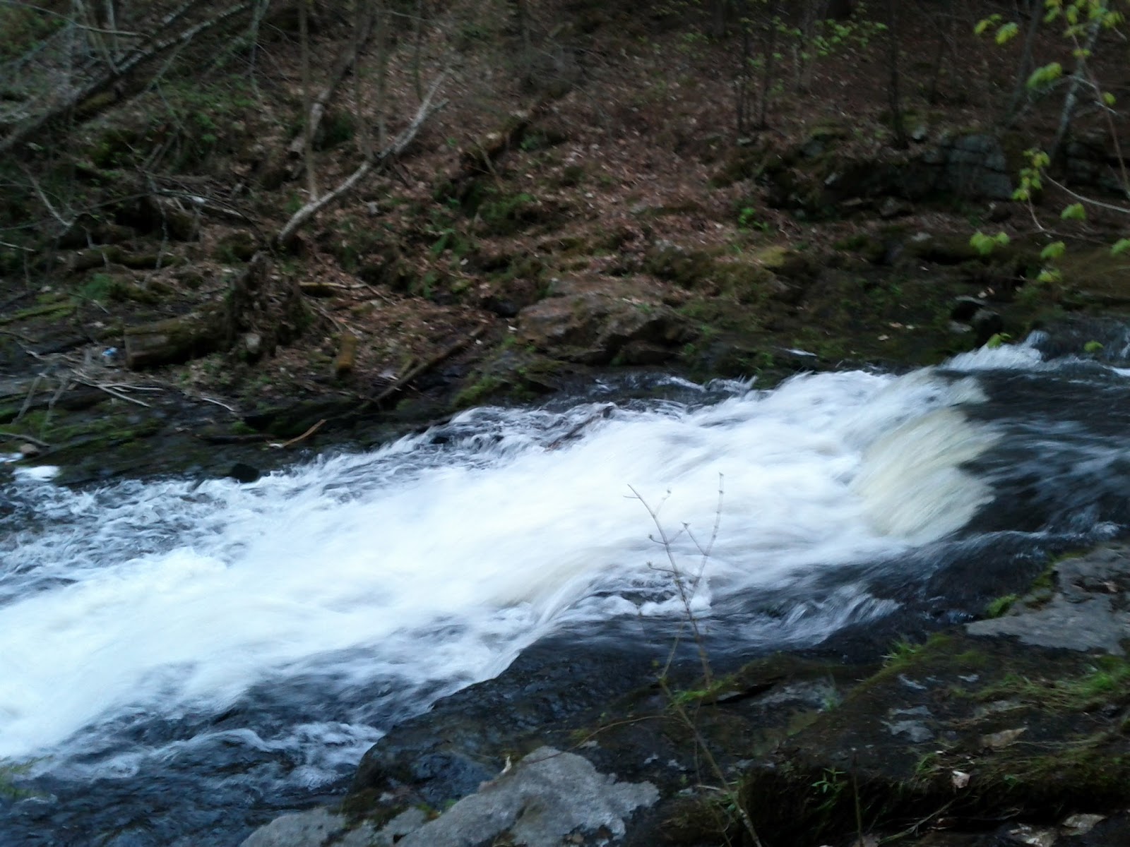 Adventures in Hobbit Land!