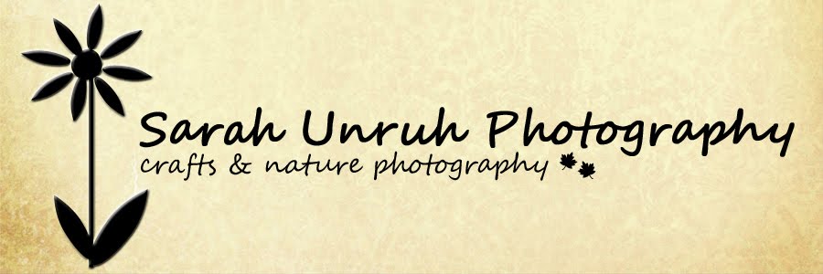 Sarah Unruh Photography