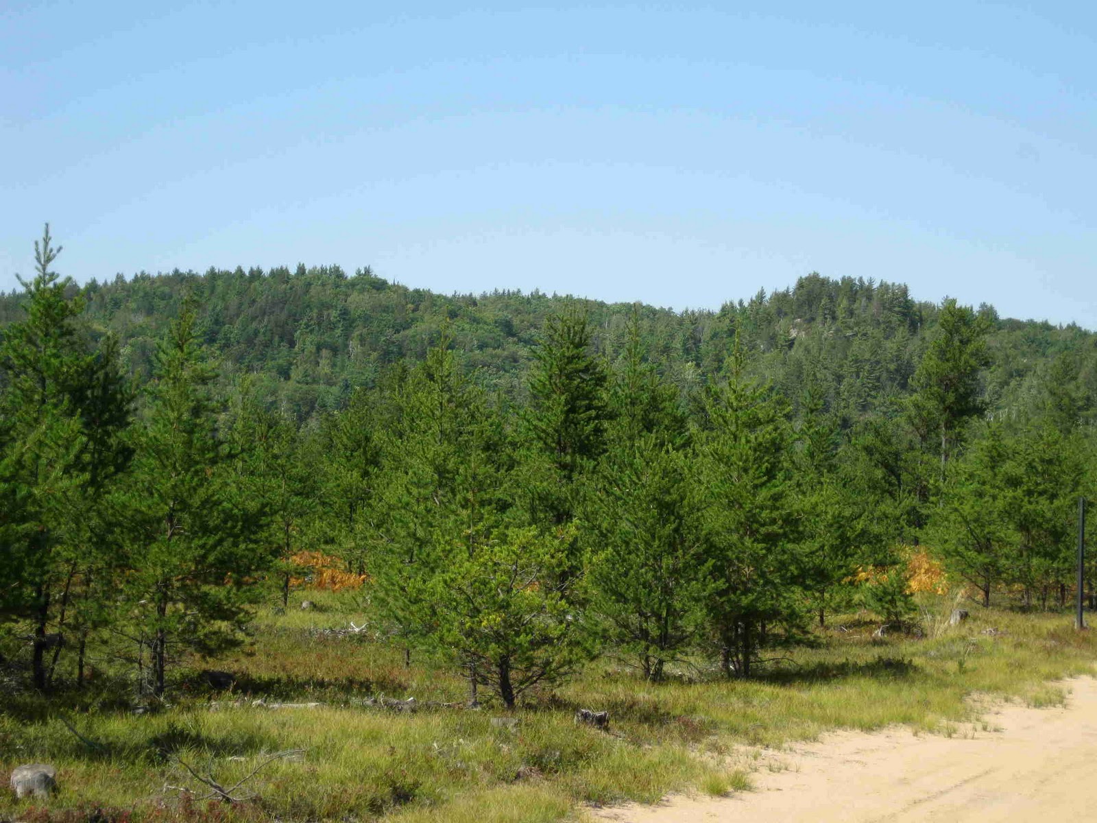 Upper Peninsula Real Estate The State of Michigan's Commercial Forest