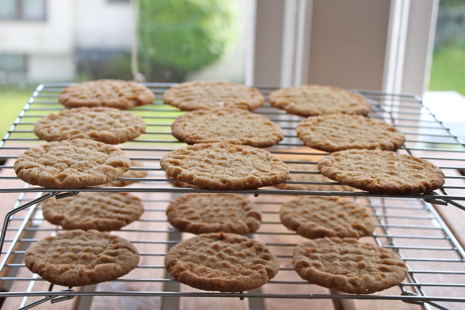 Ladyface Blog Peanut Butter and Honey Cookies