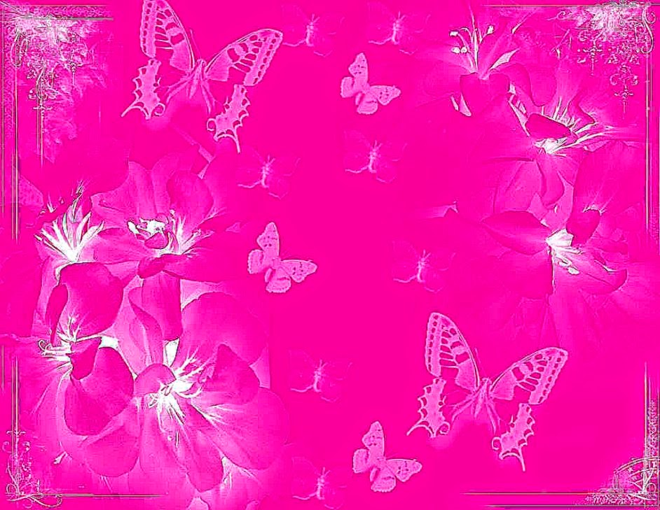 The Color Pink Wallpaper