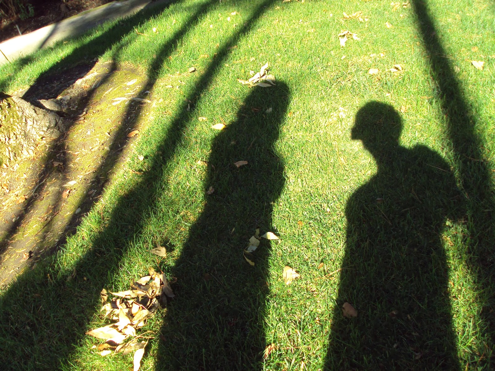 Friendship – An Unbreakable Bond ~ Interesting Things