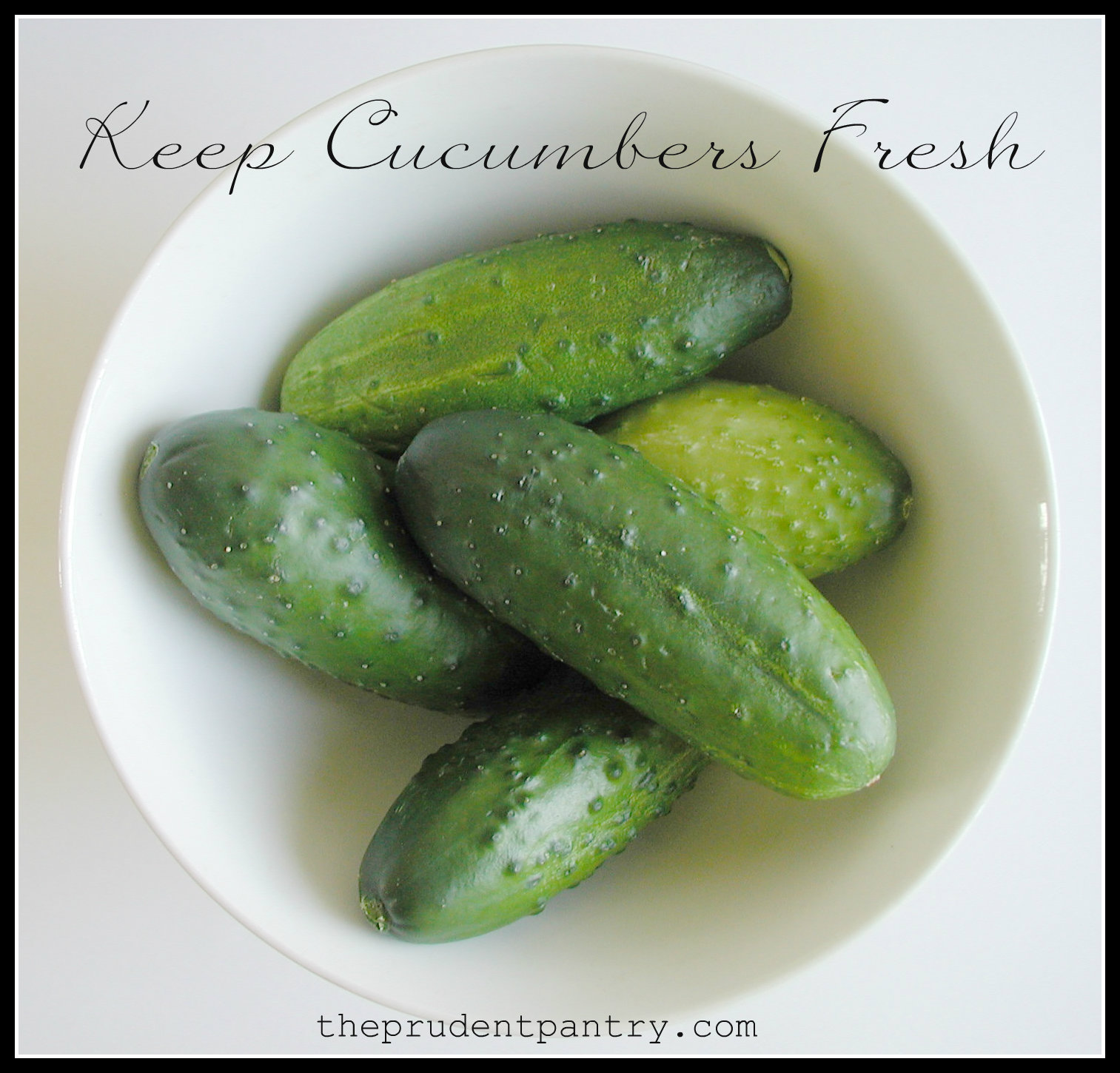 The Prudent Pantry Keep Cucumbers Fresh