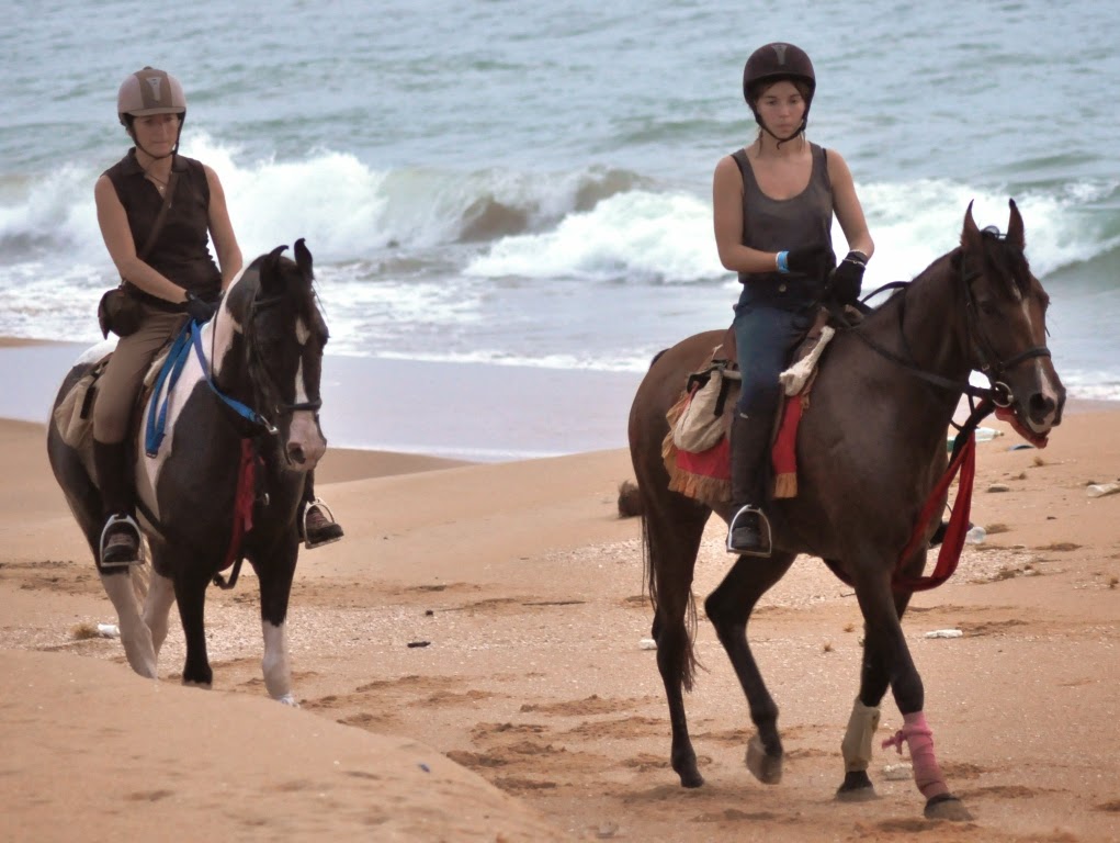Horse Riding SRI LANKA Land Of Ceylon