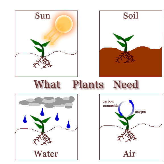 Second Grade Leonor del Álamo April 2017