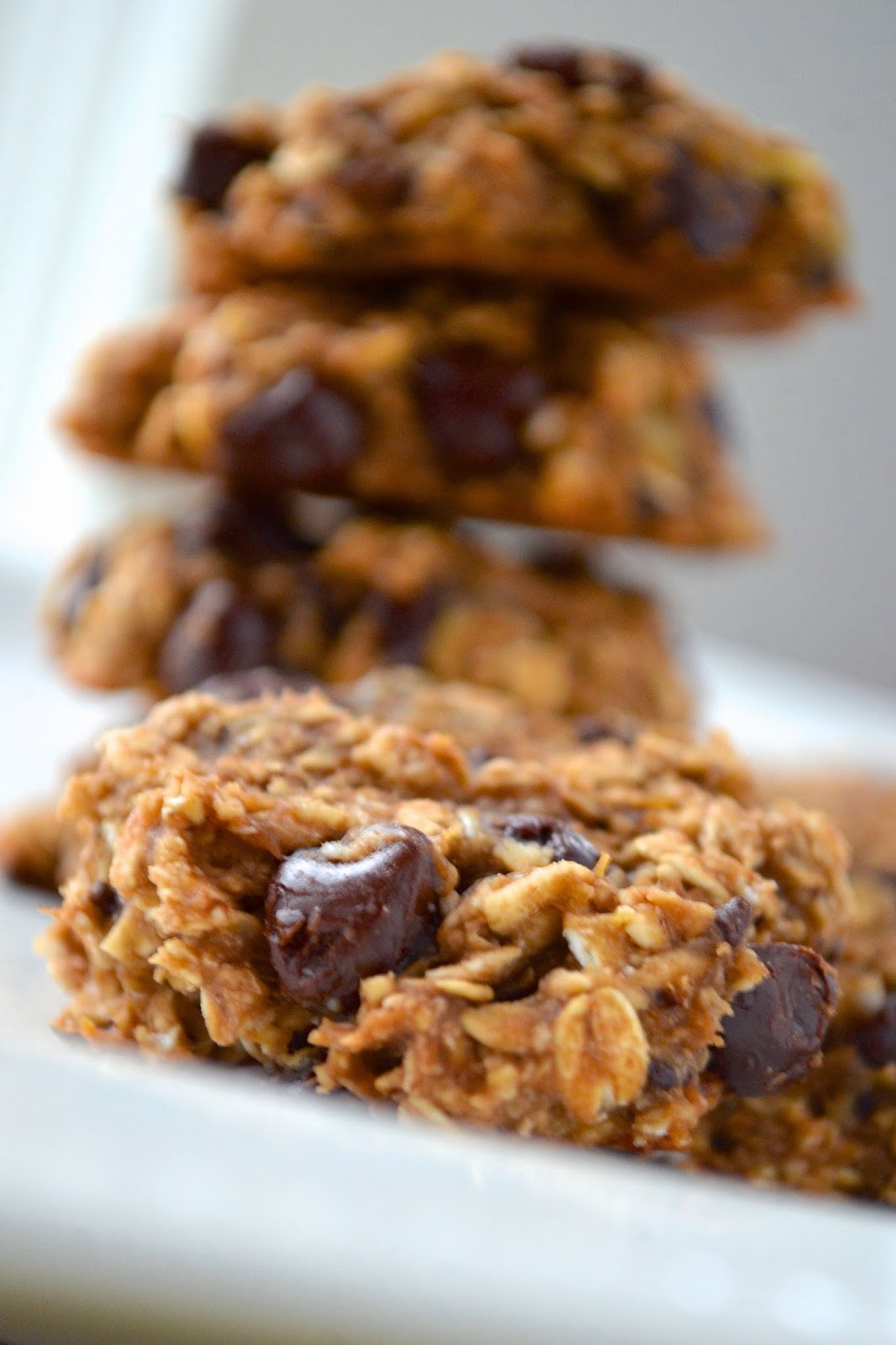 In a Nutshell... (Guilt Free!) Banana Chocolate Chip Oatmeal Cookies