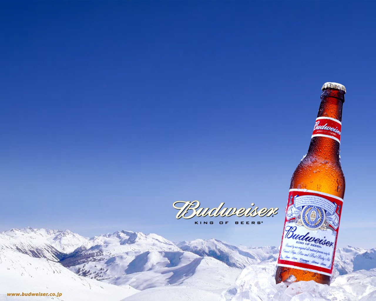 new wallpaper 2011: Budweiser Wallpaper - Budweiser Is Truly the King