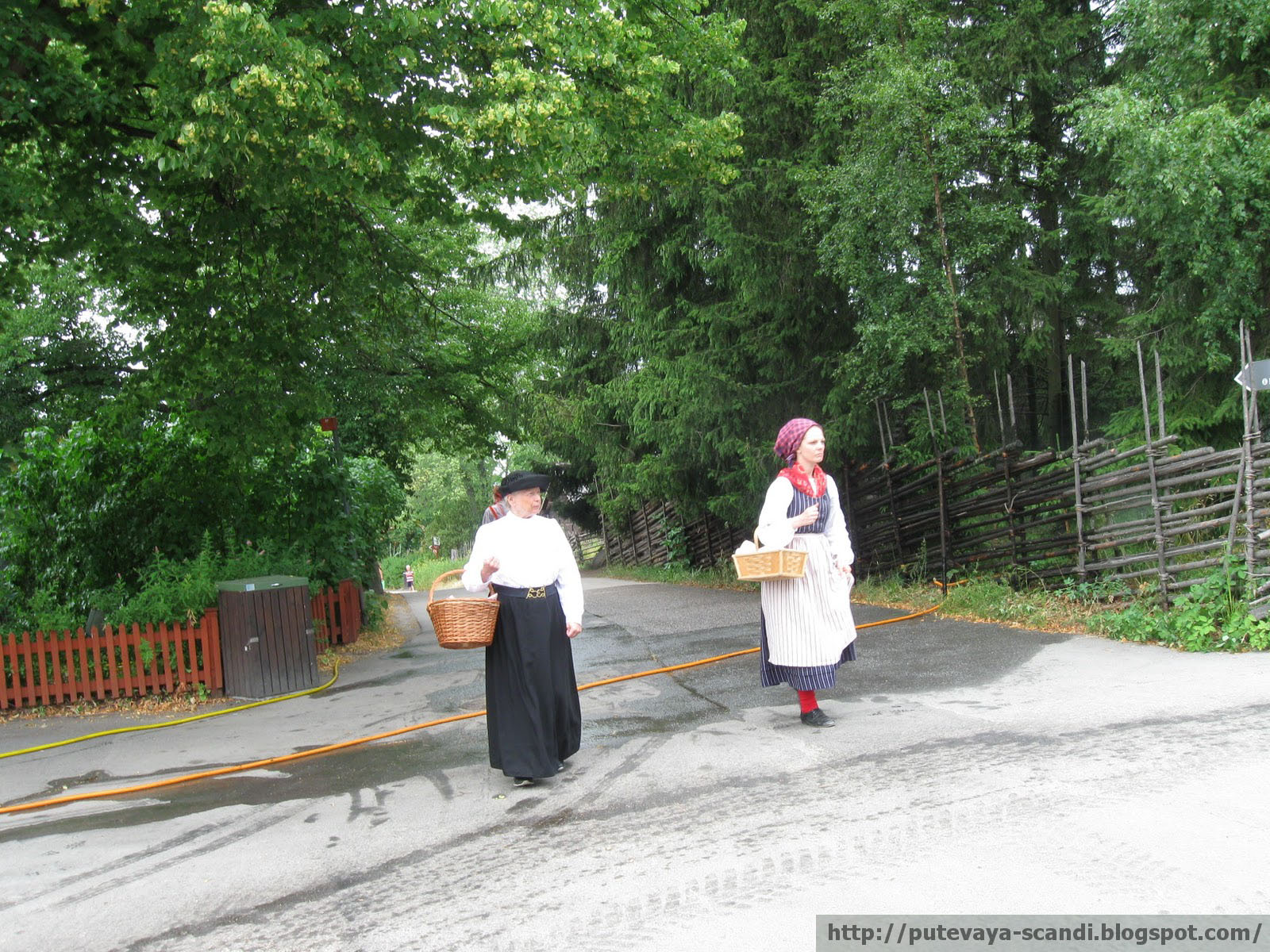 ladies in traditional Swedish costumes