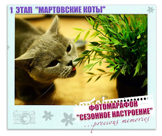 задание