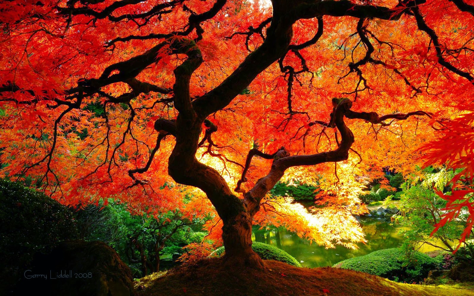 Autumn Wallpaper 1080p