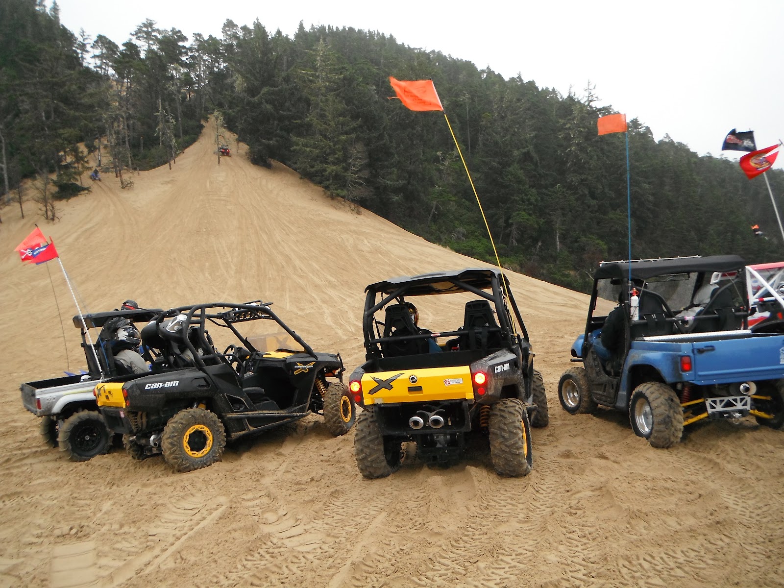 Winter Storms make for Weird Sand at the Winchester Bay Sand Dunes
